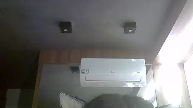SkinnyKitten webcam