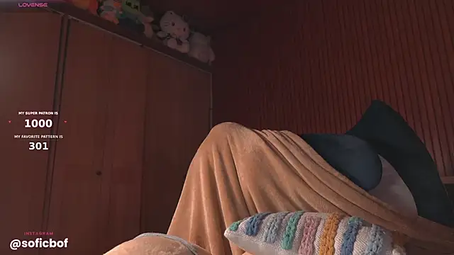 sofi_sc webcam