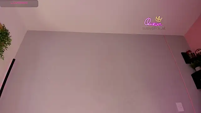 sussyprice webcam