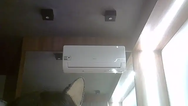 SkinnyKitten live cam