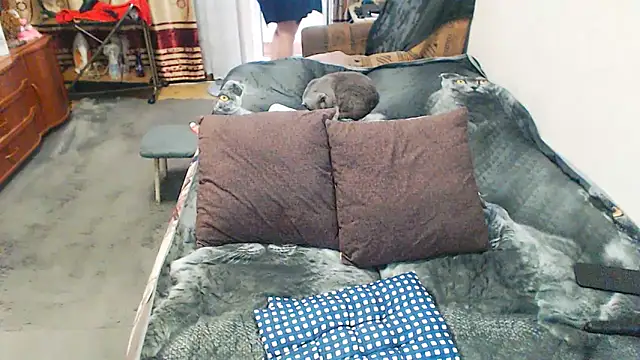 sex2 webcam