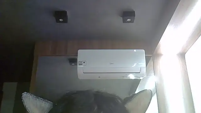 SkinnyKitten webcam