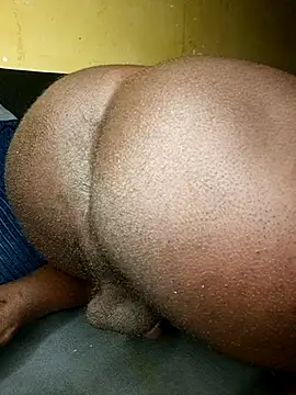 leonluxe live cam