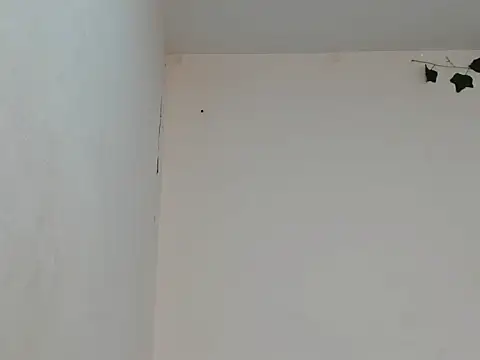 LannaCartoon webcam