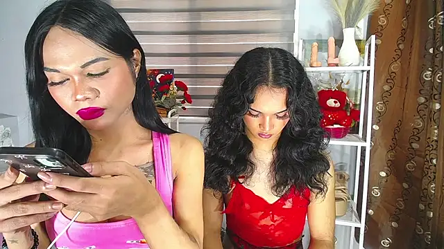 MaterialDuoTransxxx live cam