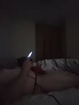 Nidge251 webcam