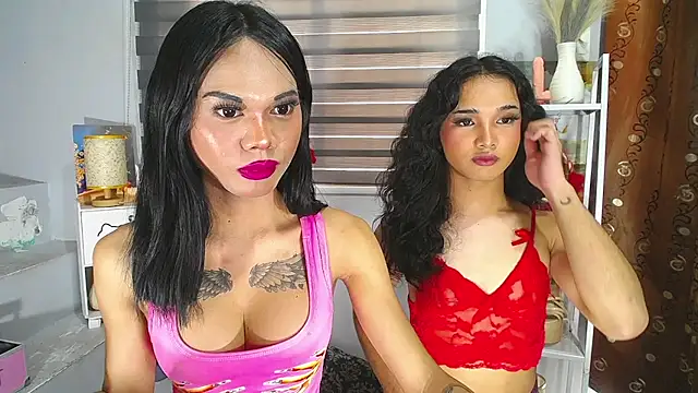 Model: MaterialDuoTransxxx