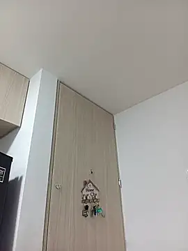 Ary- webcam
