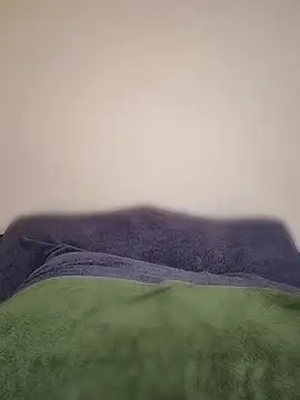 Just_for_trans webcam