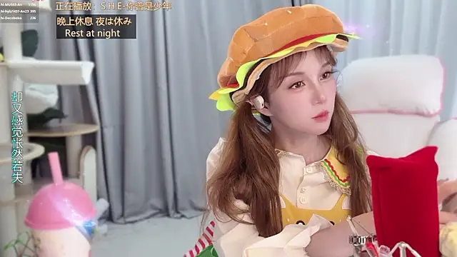 hi-AnAn webcam