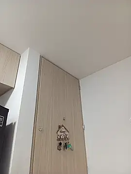 Ary- webcam