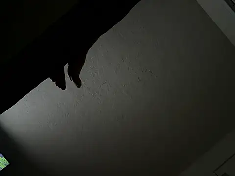 bigdick20101 webcam
