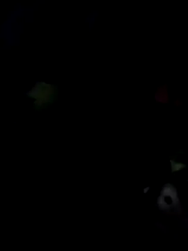 EthanSantori webcam
