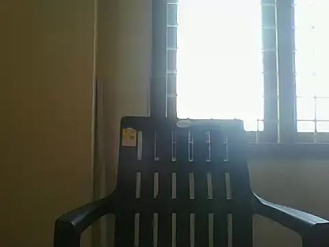nbolla1 webcam
