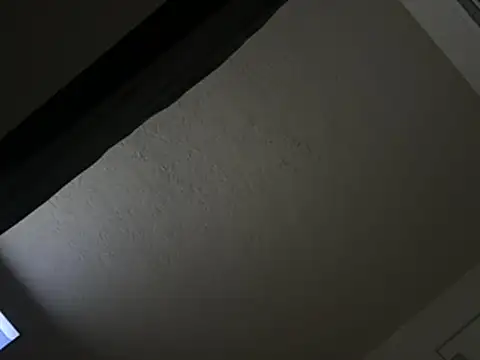 bigdick20101 webcam