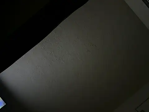 bigdick20101 webcam