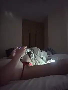 Nidge251 webcam