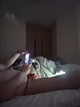Nidge251 webcam