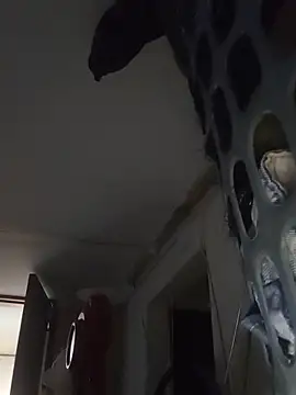 FortunateTart68 webcam