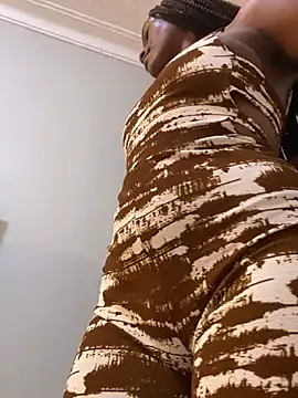 Sis27 webcam