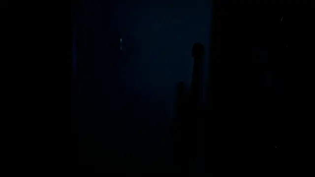 VincentSavage webcam