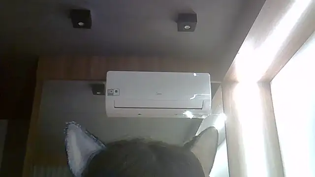 SkinnyKitten live cam