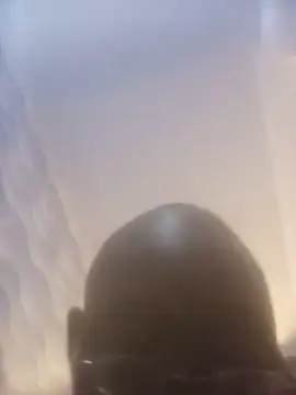 rosebell1 webcam
