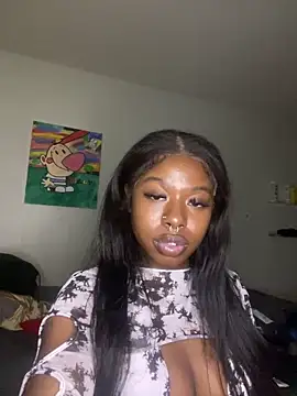 TinyBlazian901 webcam