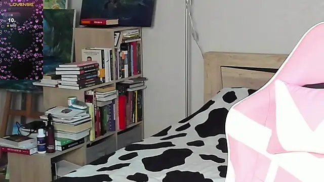 bbJ_one webcam