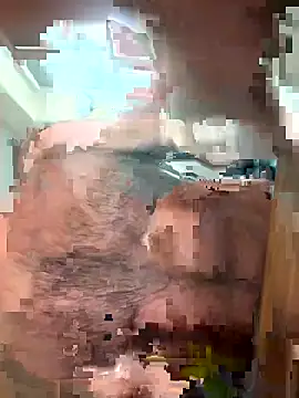 DarkfleX webcam