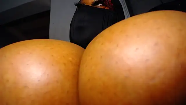 XPanther_24 webcam