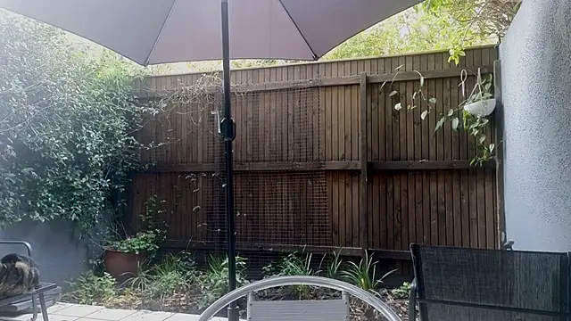 TopsyWilde webcam