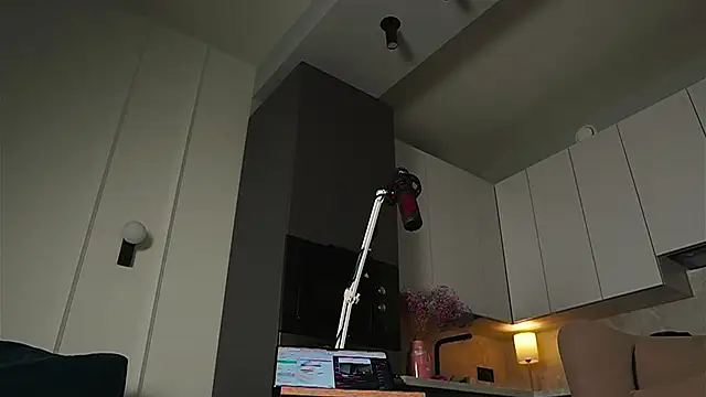 Yourfreebird webcam
