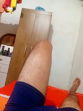 Exibido webcam