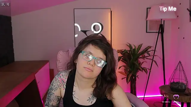Ariell_Mini webcam