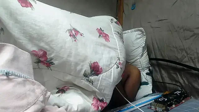 Camodick webcam