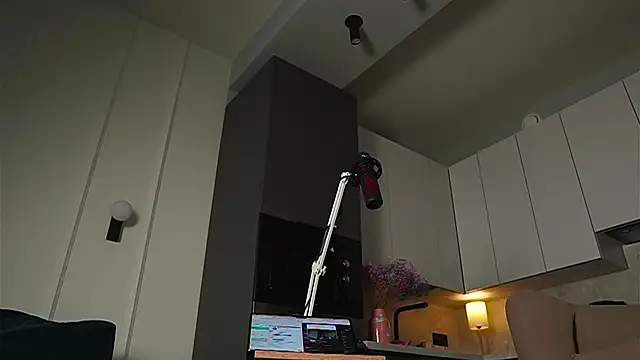 Yourfreebird webcam