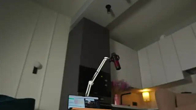 Yourfreebird webcam