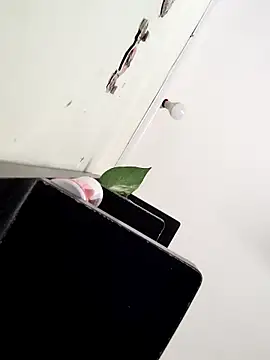 yamini1431 webcam