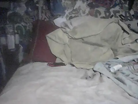 Twoslipperywhenwett webcam