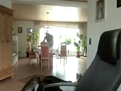 Nobbie444 live cam