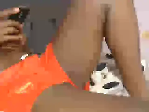 Dic_star webcam