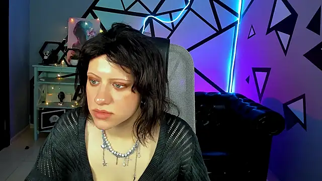 LidaDarknet webcam