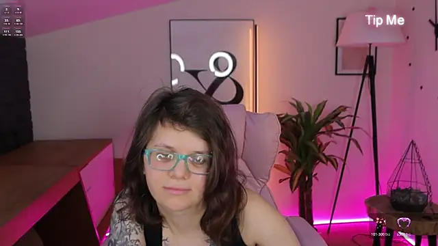 Ariell_Mini webcam