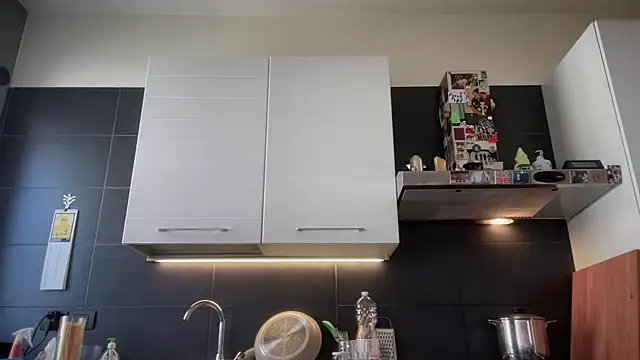 theitalianbear live cam