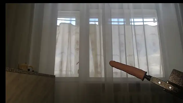 DreamMoon webcam