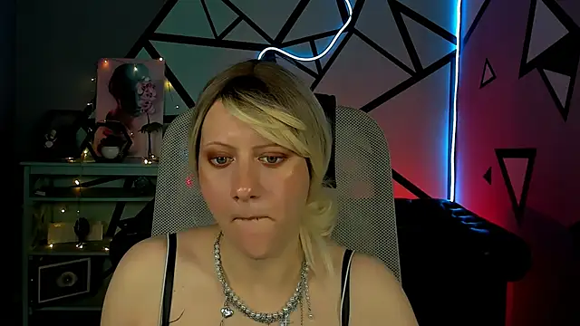 LidaDarknet webcam