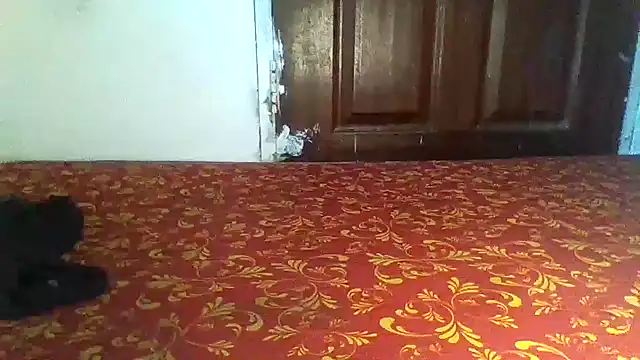 Mankofane webcam