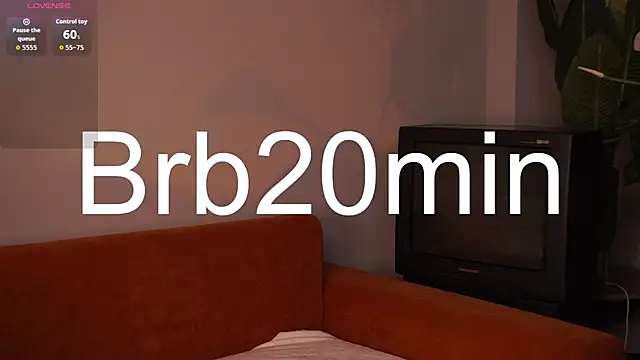 AriaCatrool webcam