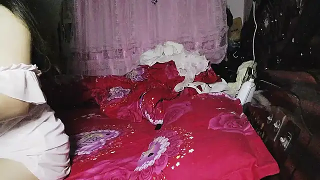 hebe-02 webcam